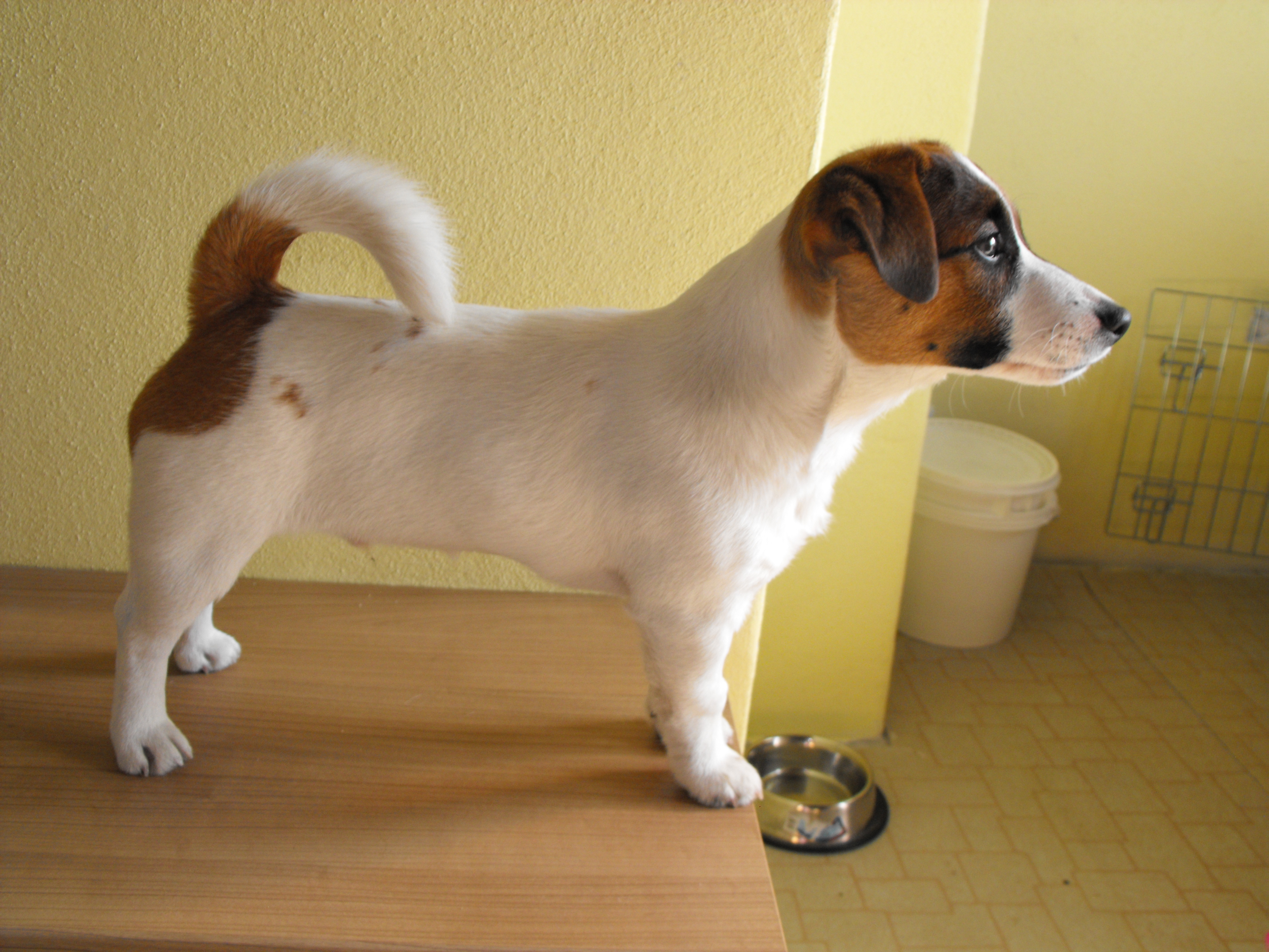 DSCF2368.JPG