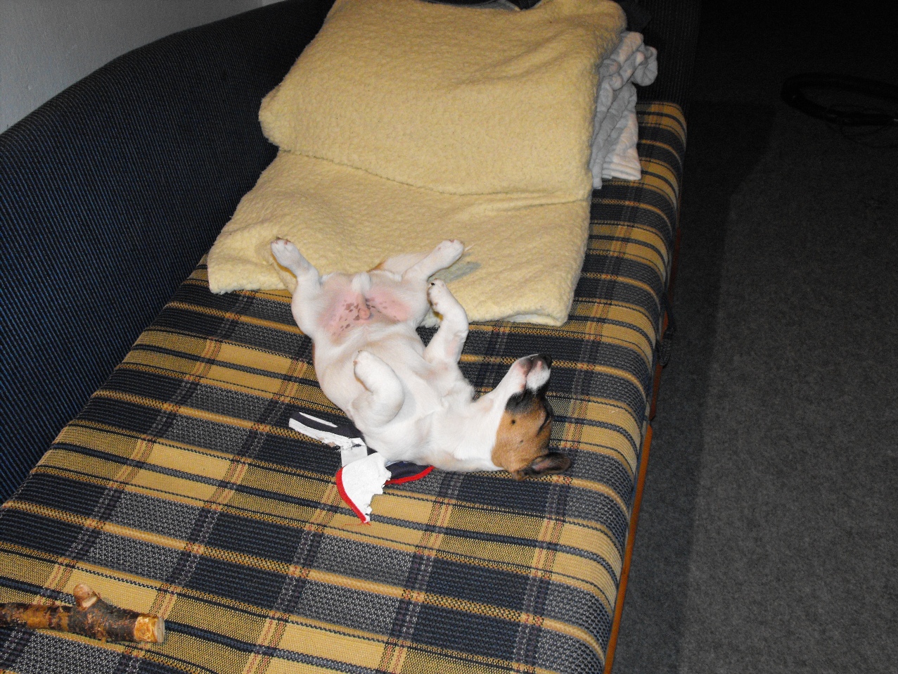 DSCF2326.JPG