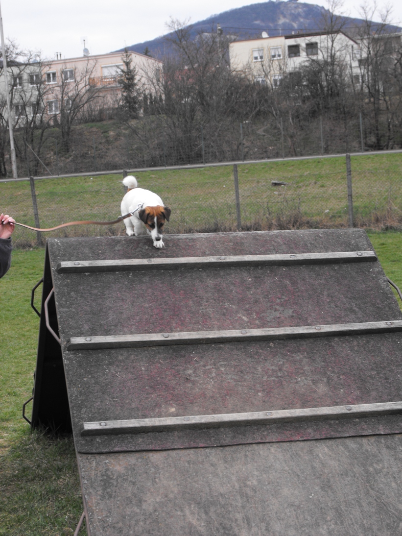 DSCF2474.JPG