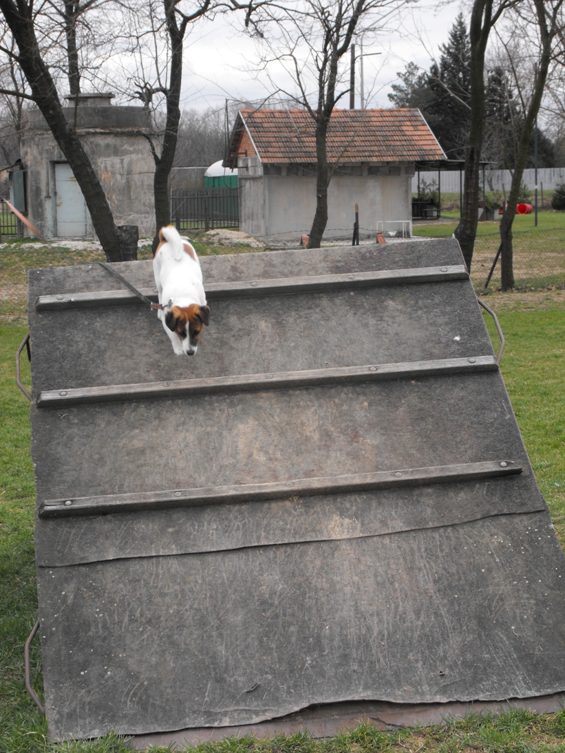 DSCF2473.JPG