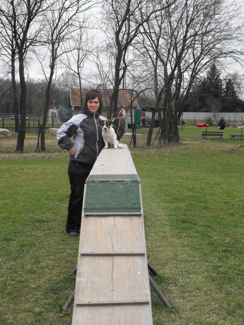 DSCF2479.JPG