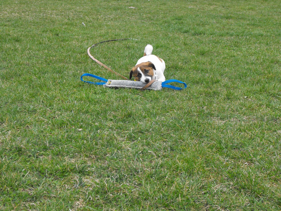 DSCF2482.JPG
