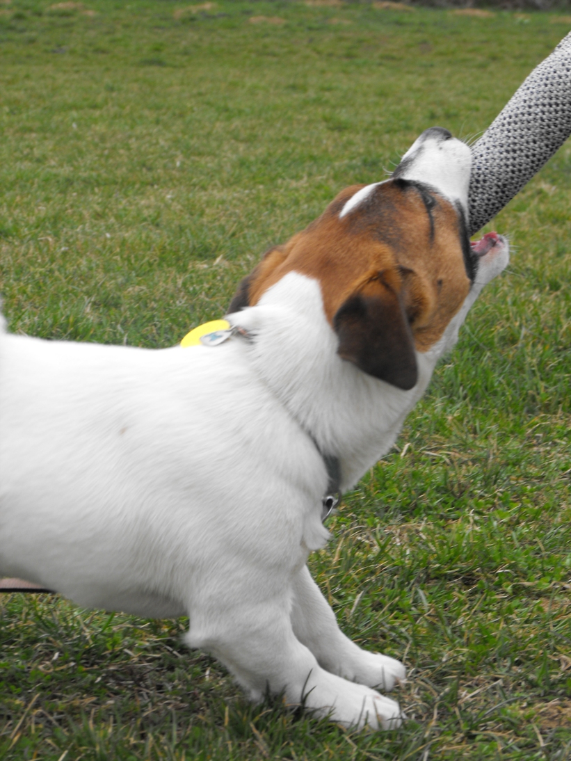 DSCF2490.JPG