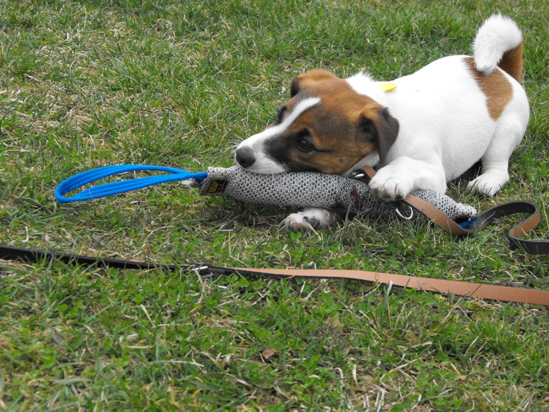 DSCF2491.JPG