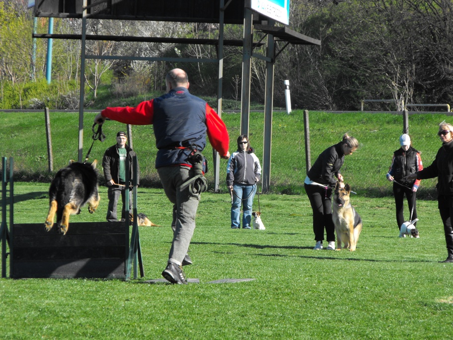 DSCF2544.JPG