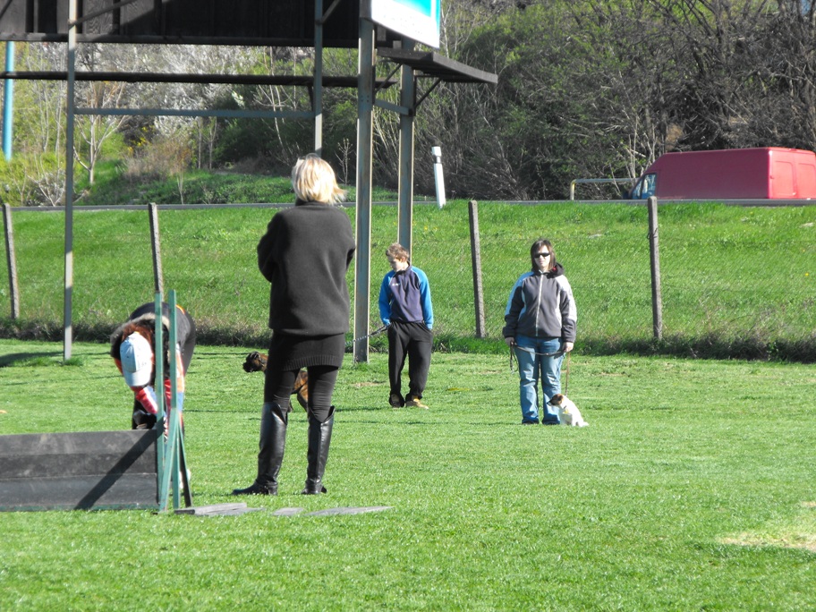 DSCF2550.JPG