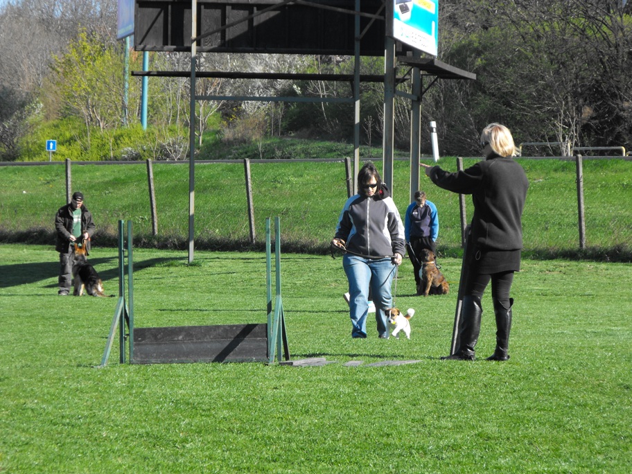 DSCF2551.JPG