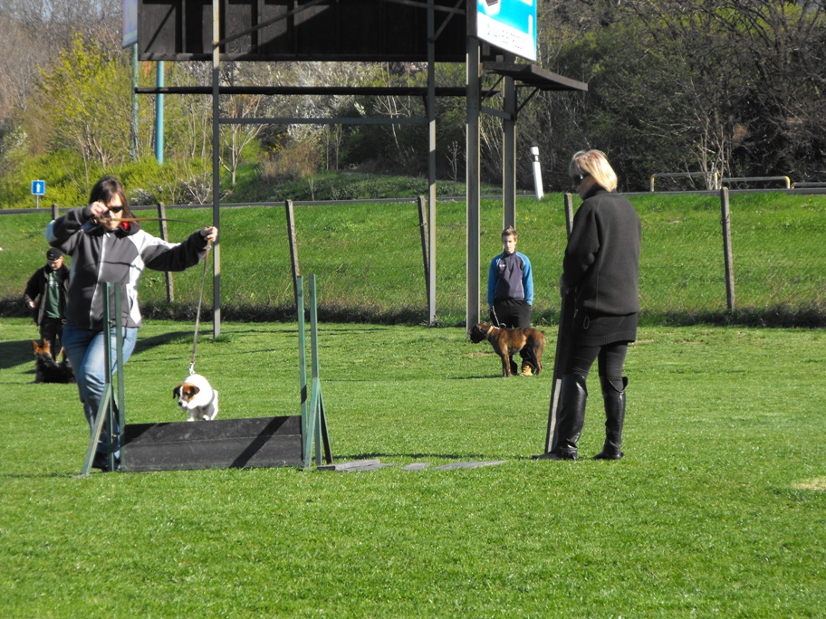 DSCF2552.JPG