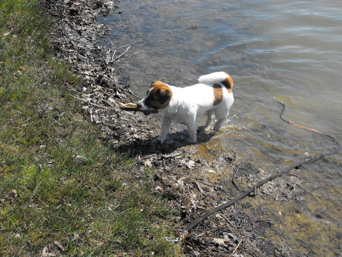 DSCF2570.JPG