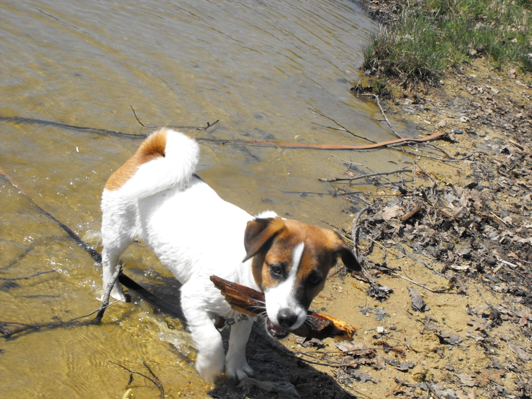 DSCF2574.JPG
