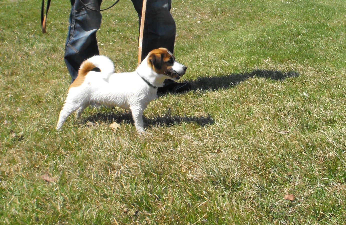 DSCF2582.JPG