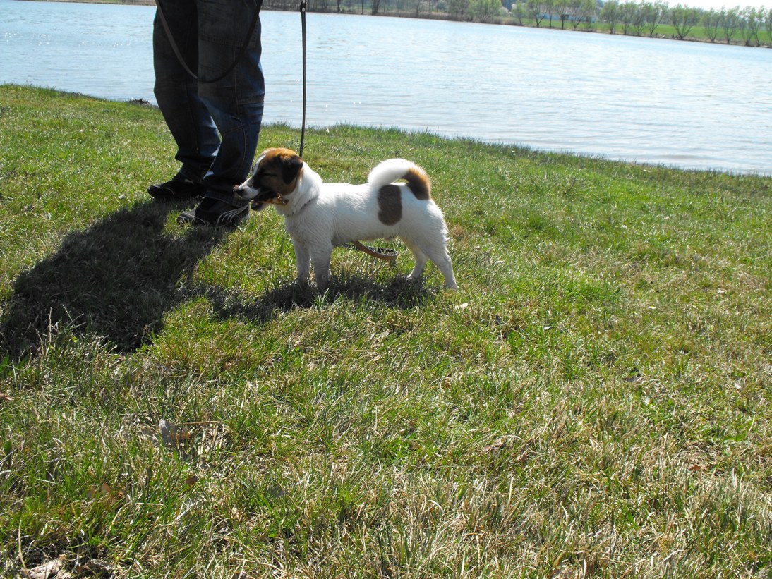 DSCF2579.JPG