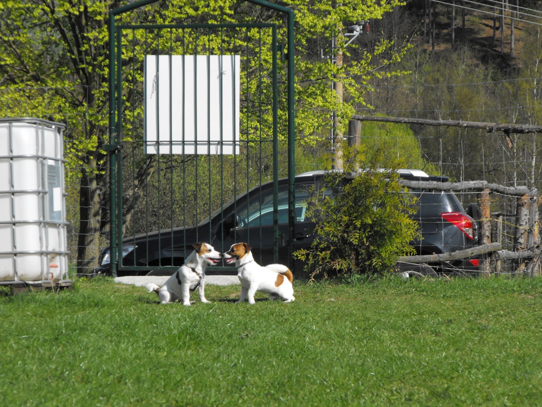 DSCF2589.JPG