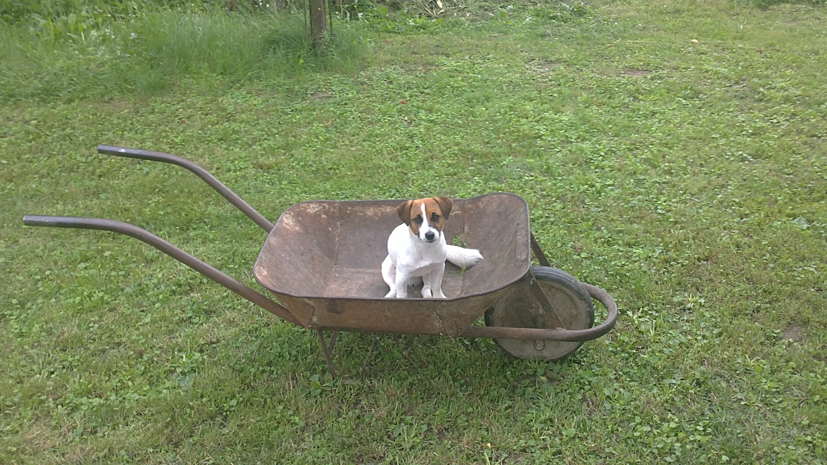 29072011357.JPG