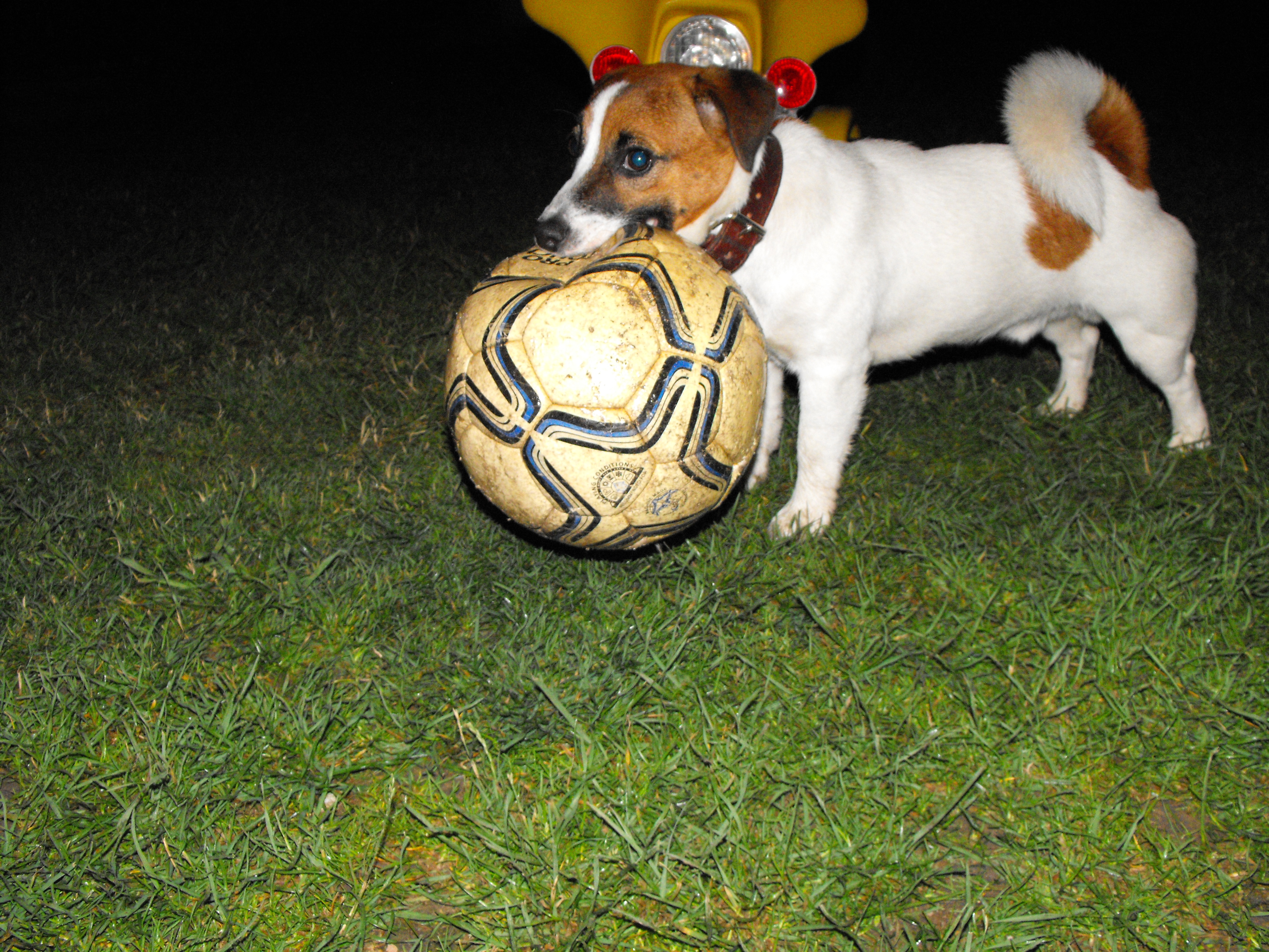 DSCF2782.JPG