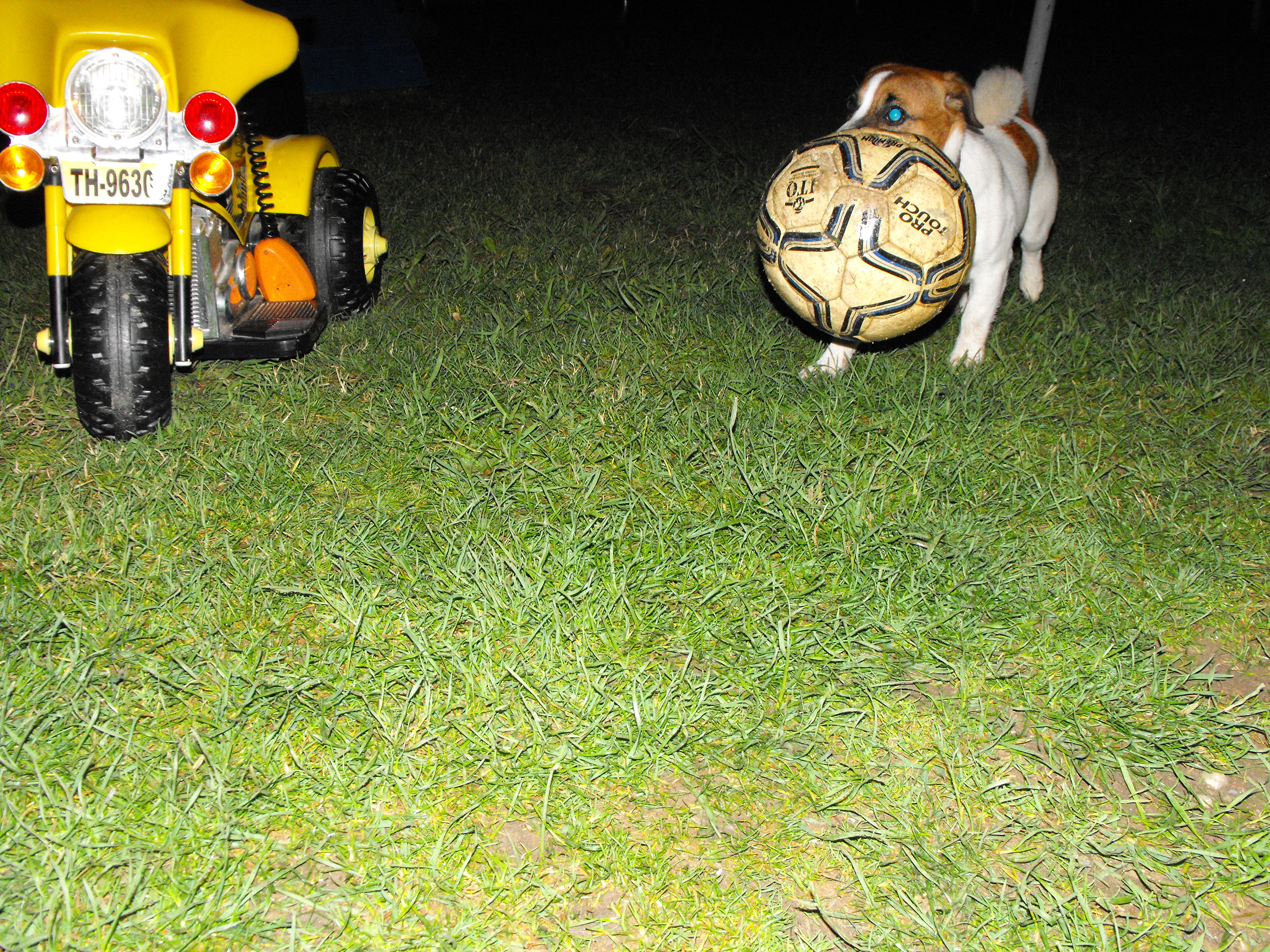 DSCF2785.JPG