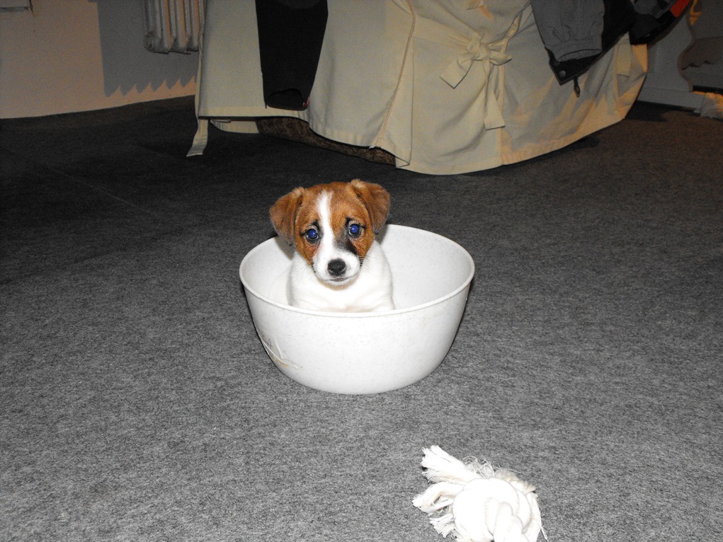 DSCF1675.JPG
