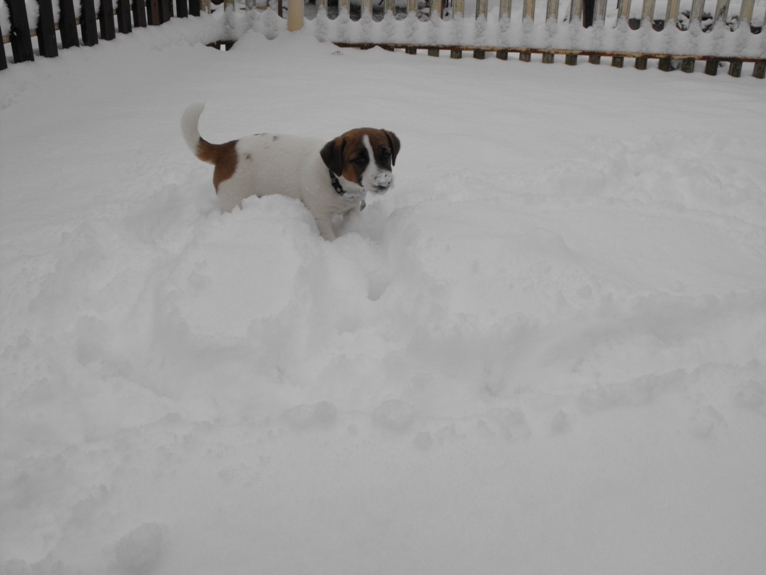DSCF2106.JPG