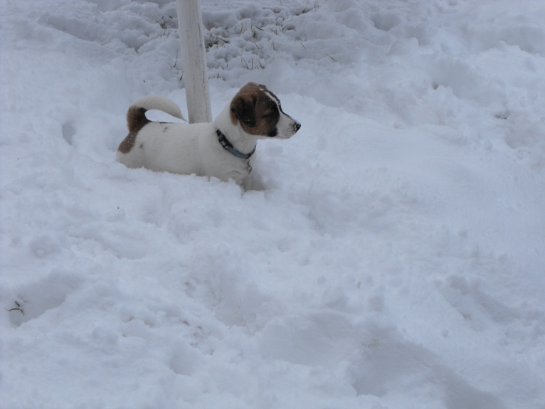 DSCF2119.JPG
