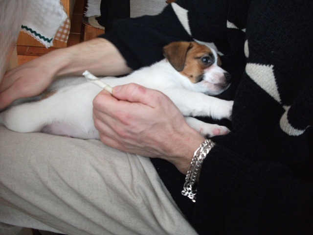 DSCF1788.jpg
