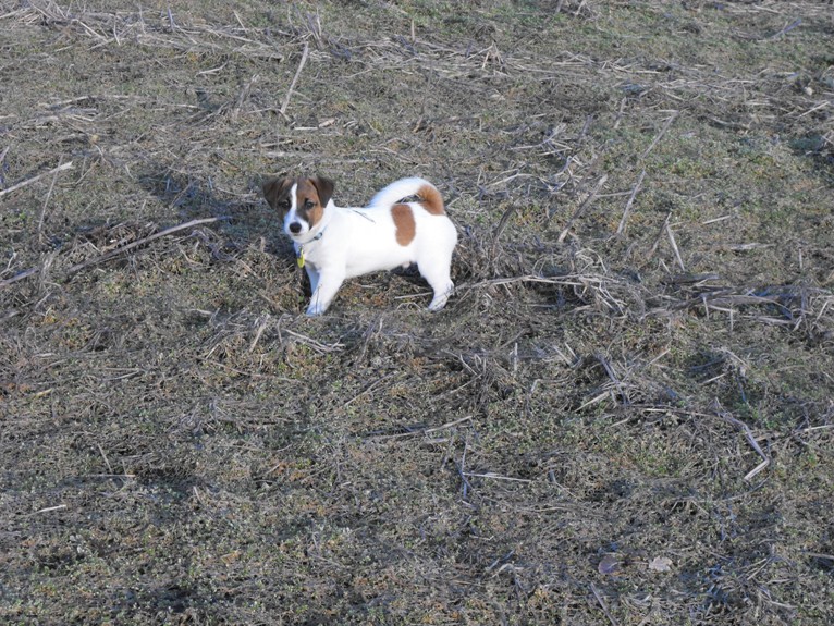 DSCF2242.JPG
