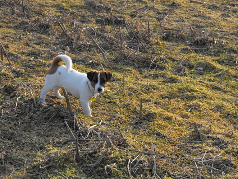 DSCF2245.JPG