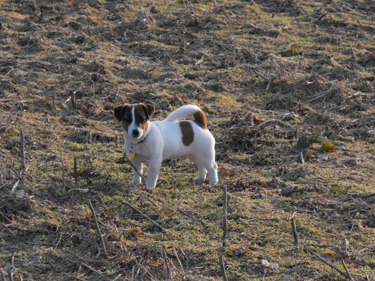 DSCF2246.JPG