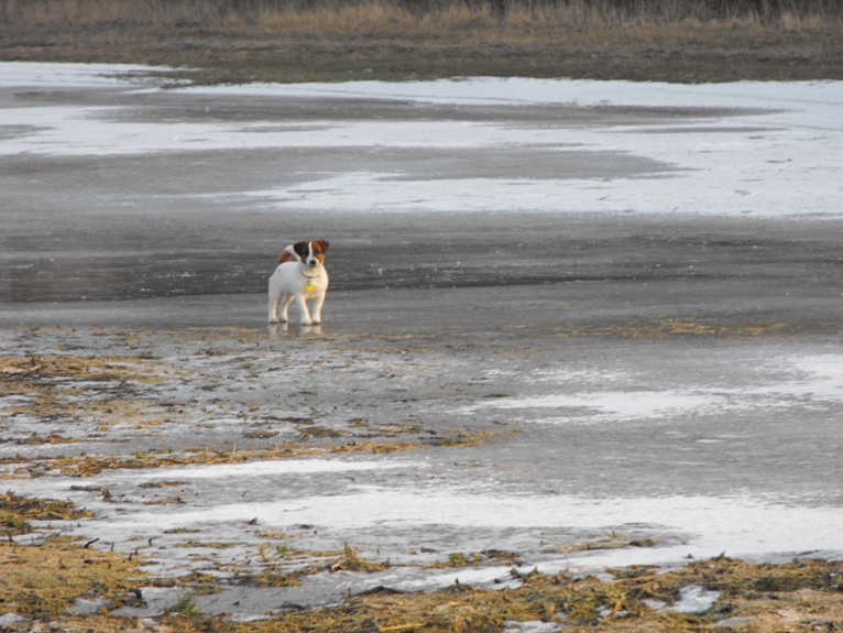 DSCF2254.JPG