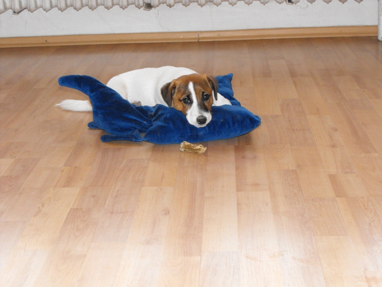DSCF2260.JPG
