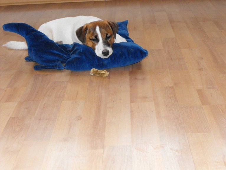 DSCF2261.JPG