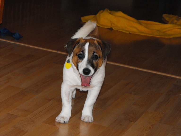 DSCF2293.JPG