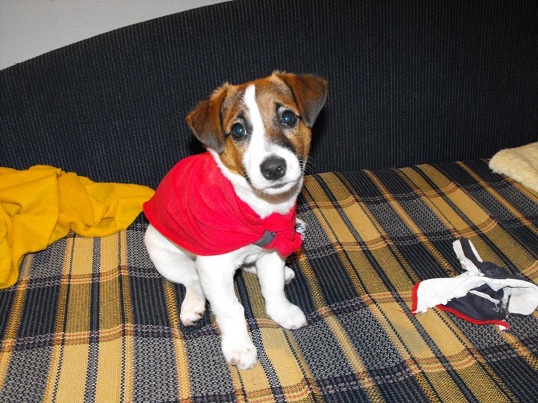 DSCF2321.JPG