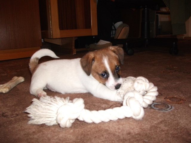 DSCF1808.jpg