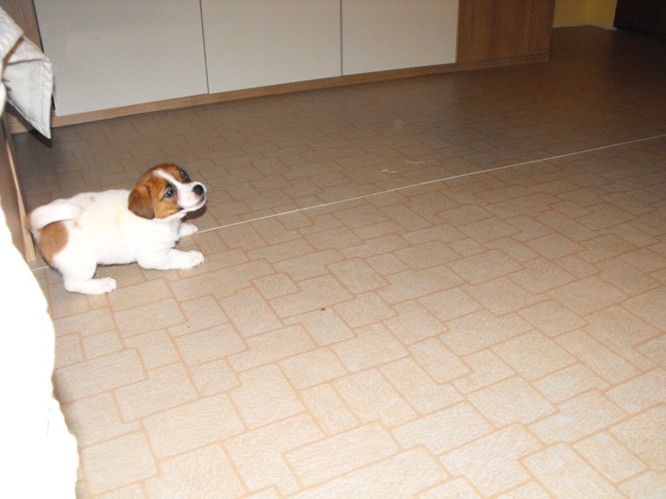 DSCF1653.JPG