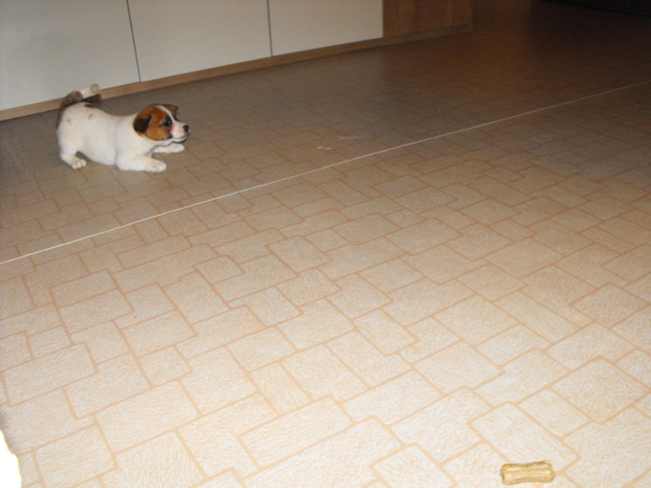 DSCF1654.JPG