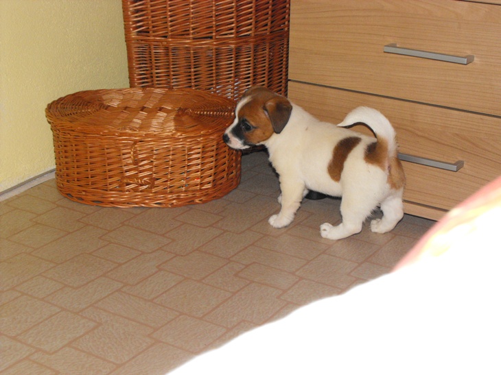 DSCF1656.JPG