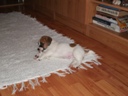 DSCF1776.jpg