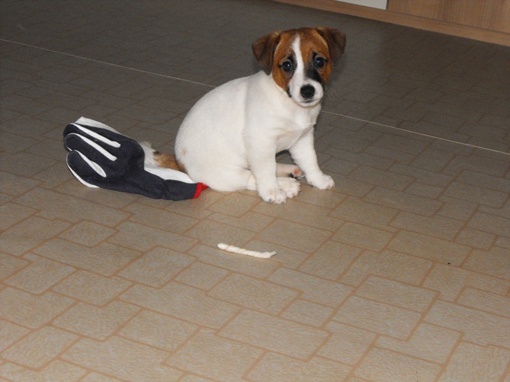 DSCF1943.JPG