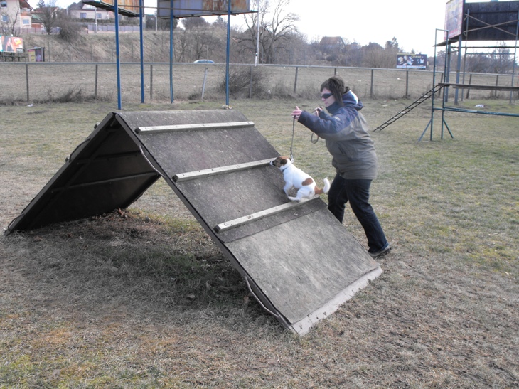 DSCF2339.JPG