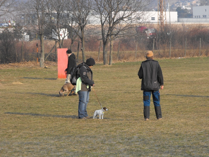 DSCF2263.JPG