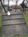 DSCF2473.JPG