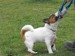 DSCF2486.JPG