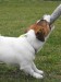 DSCF2490.JPG
