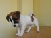 DSCF2045.JPG