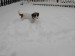 DSCF2106.JPG
