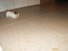 DSCF1654.JPG
