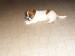 DSCF1658.JPG