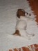 DSCF1780.jpg
