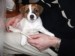 DSCF1783.jpg